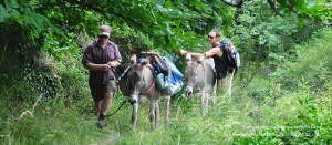 Walking with a donkey in the Cevennes