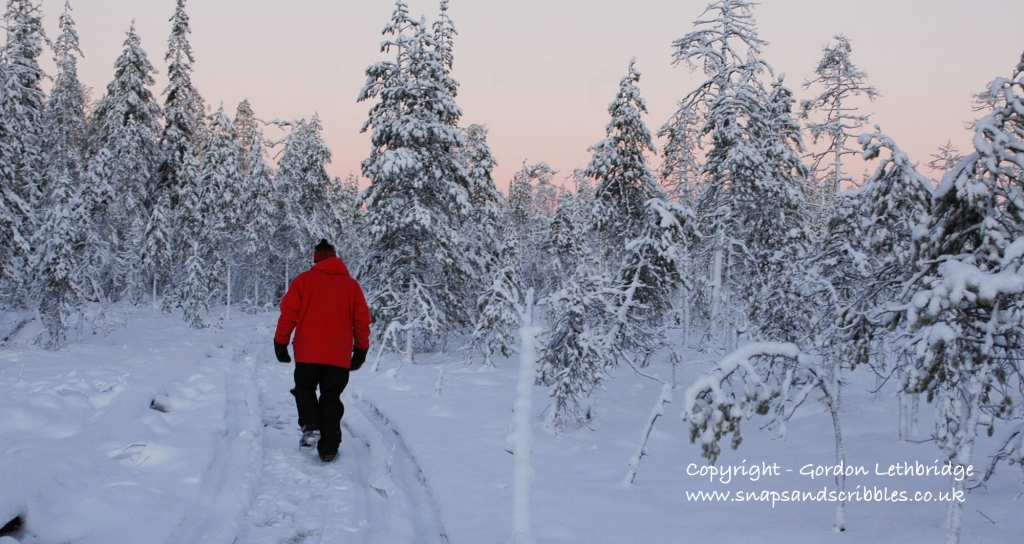 Finland Wilderness
