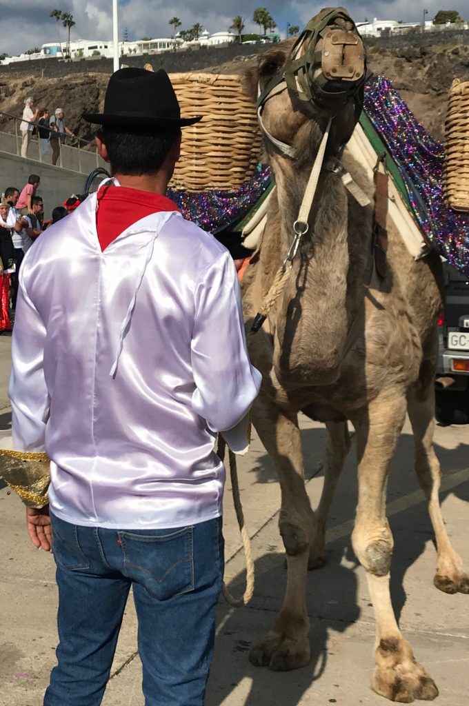 Camel for one of the three kings