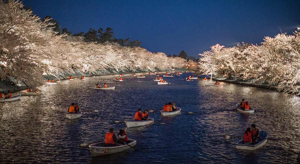 Boats on a lake with illuminated cherry trees