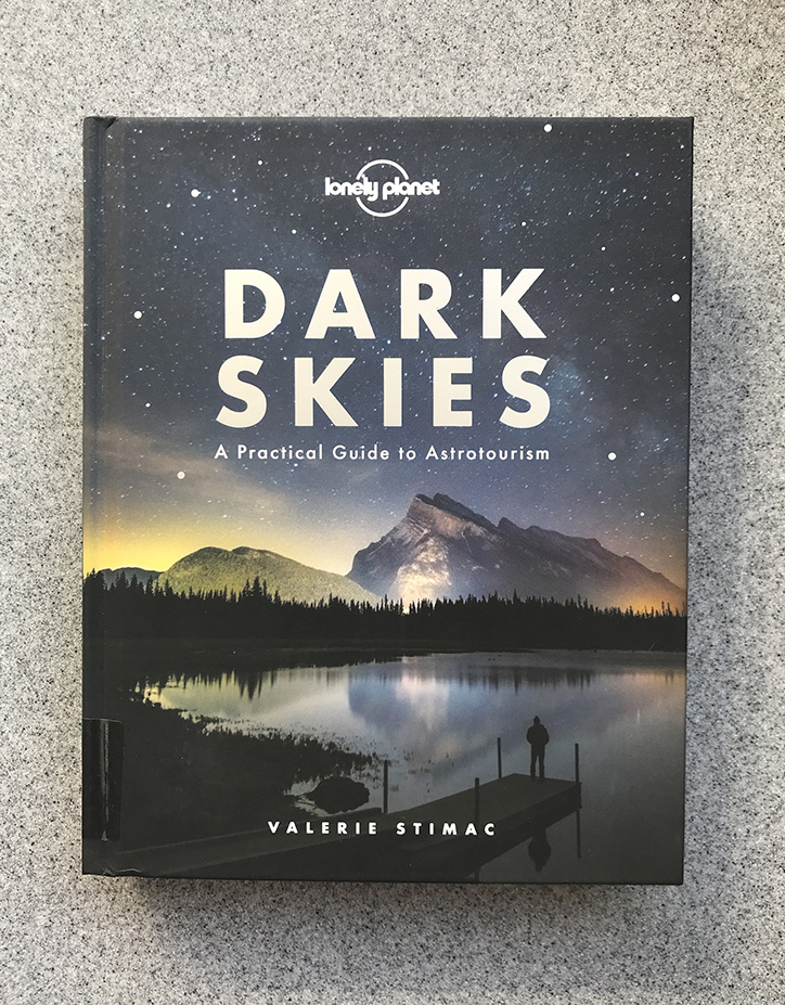 Dark Skies Book Review