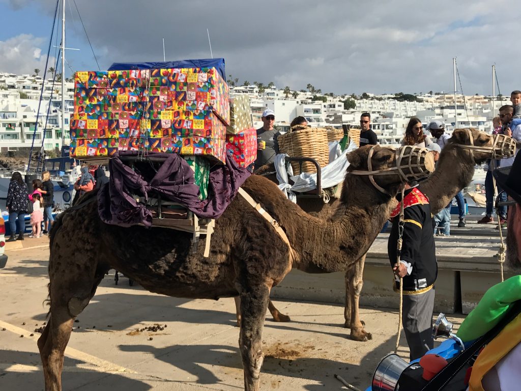 Camel with presents