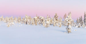 Where in the World featured image snow scene