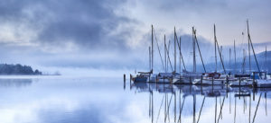 Where in the World 440 featured image