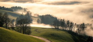 Where in the World 444 featured image mist