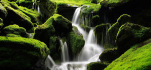 Where in the World 459 featured image waterfall and moss South Korea
