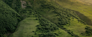 Where in the World 467 featured image