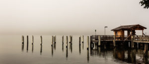 Where in the World 485 featured image