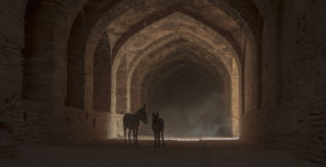 Where in the World 485 featured image