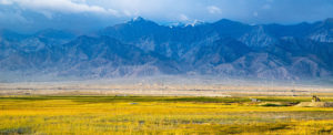Where in the World 497 featured image landscape