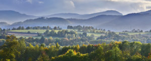 Where in the World 504 featured image landscape
