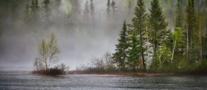 Where in the World 588 featured image fir trees beside lake in the mist
