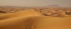 Where in the World 529 desert scene featured image