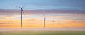 Where in the World 526 wind farm at dawn