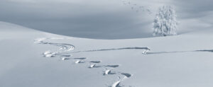 Where in the World 537 featured image ski tracks in snow
