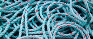 Where in the World 551 blue nylon rope featured image