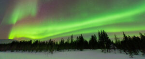 Where in the World 579 featured image Northern Lights aurora borealis with trees