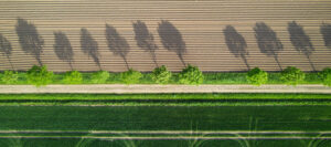 Where in the World 575 aerial shot of fields and trees Featured image