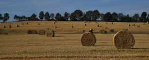 Where in the World 578 featured image hay bales in a field