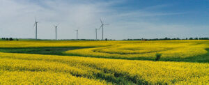 Where in the World 631 wind farm yellow field of rapeseed