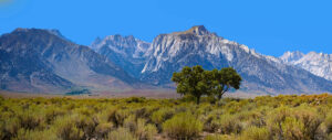 Where in the World 660 featured image mountains against a blue sky single small tree in the foreground