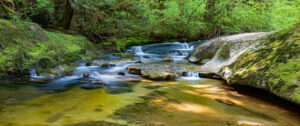 Where in the World 669 woodland stream waterfall blur
