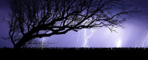 Where in the World 675 featured image lightning storm tree silhouette