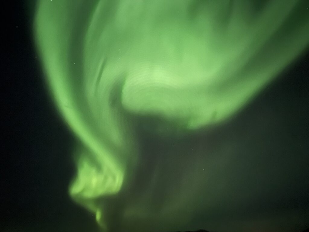 Northern Lights Cruise