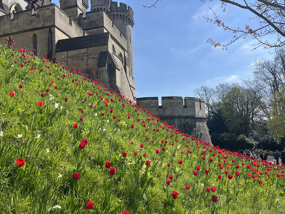 Arundel Castle Tulip Festival garden meadow