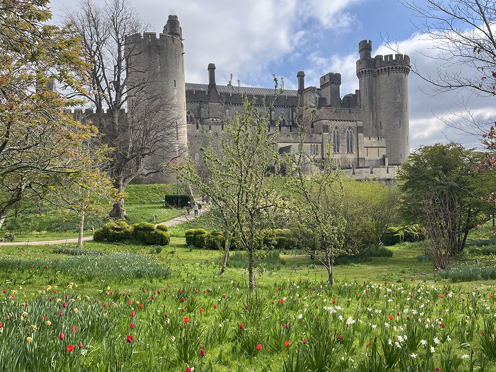Arundel Castle Tulip Festival garden meadow