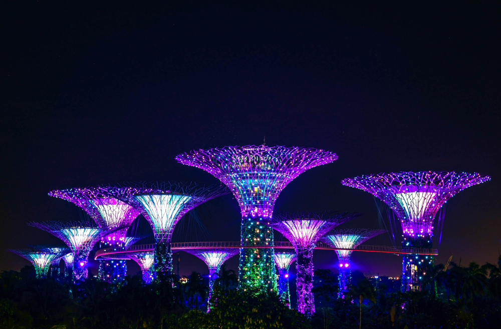 Supertree Grove in the Gardens by the Bay, Singapore.
