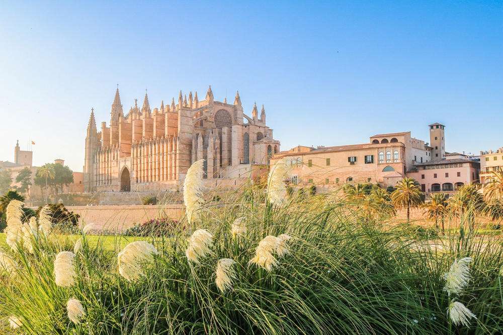 The cathedral of Palma de Mallorca