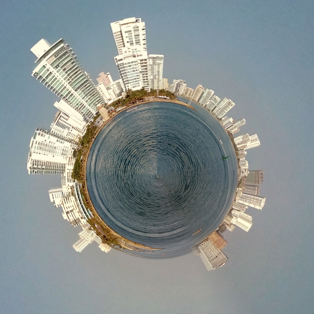 Where in the World 498 distorted image