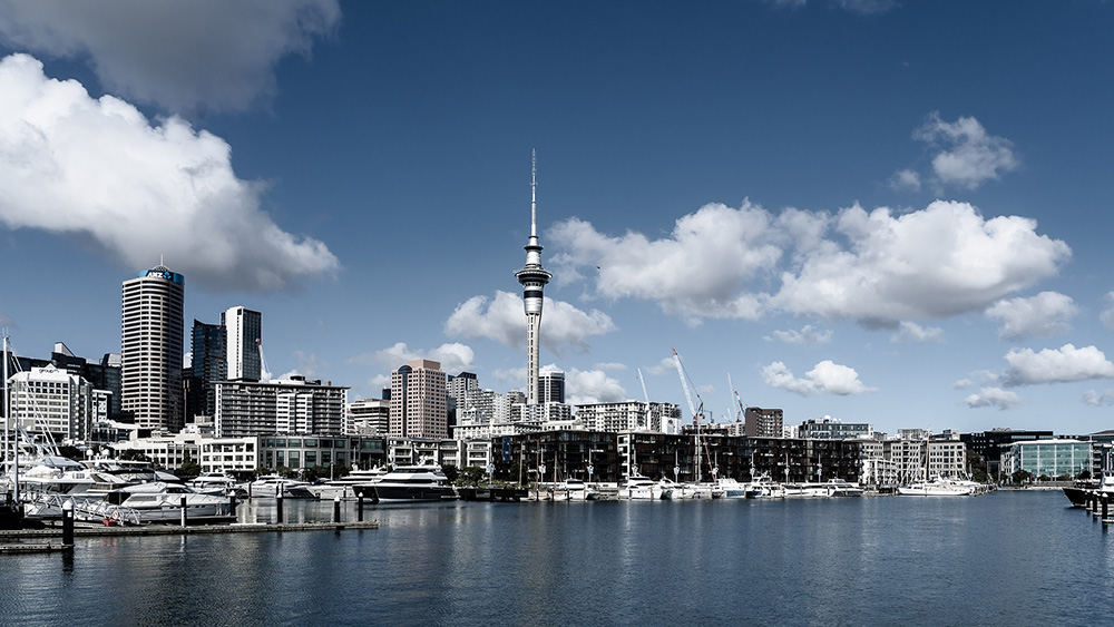 Where in the World 607 Auckland New Zealand skyline