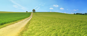 Where in the World 500 featured image track across field