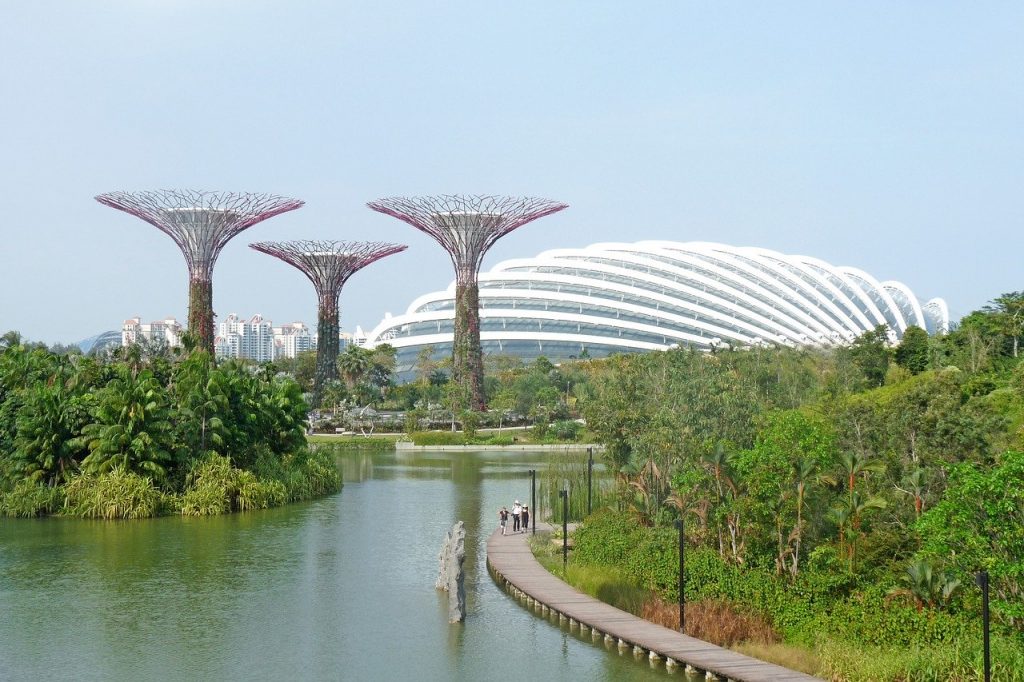Where in the World - Singapore Gardens by the Bay